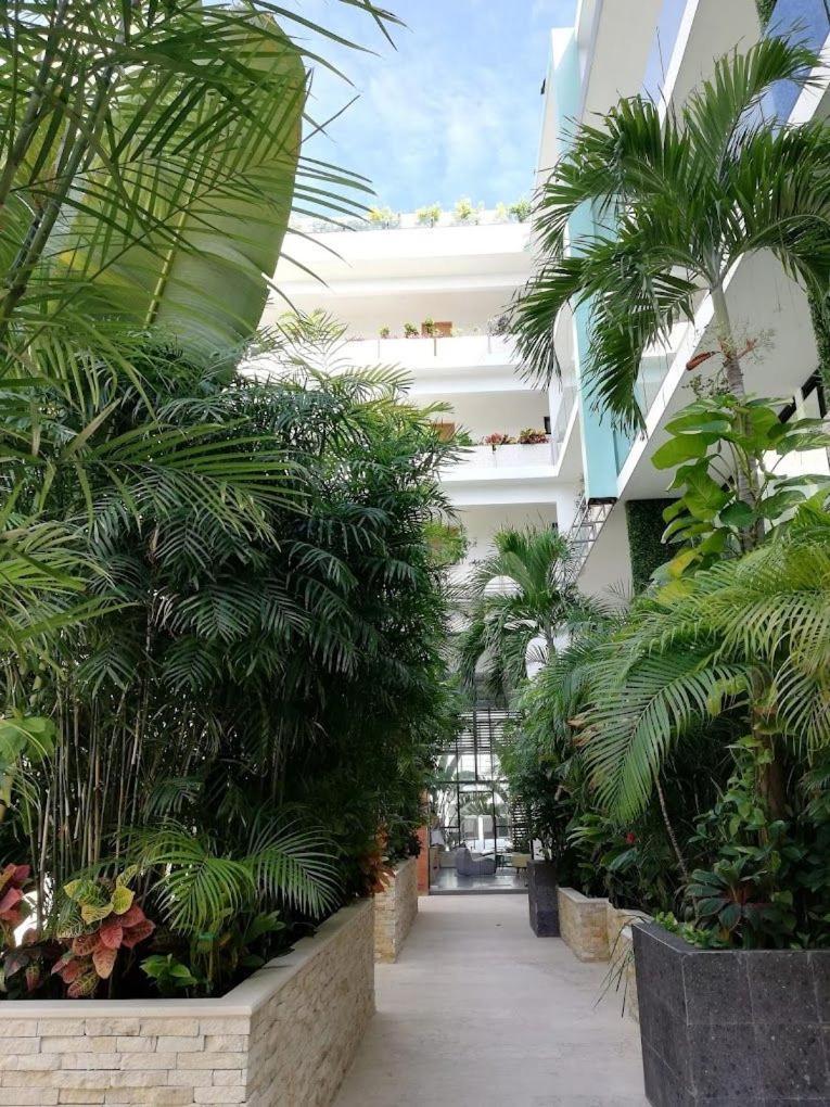 Apartahotel Aura With Balcony, Pool, Gym & Sauna